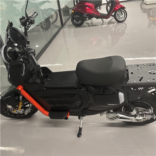 Electric motorcycle