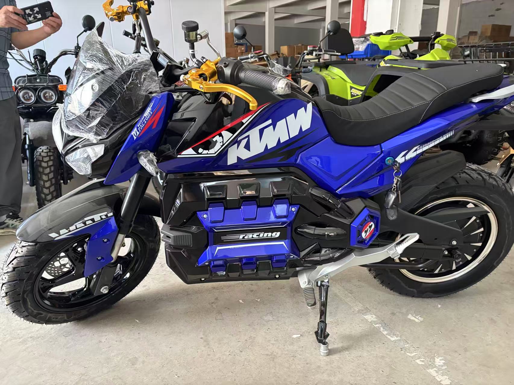 Electric motorcycle