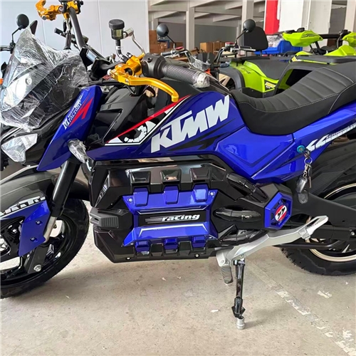 Electric motorcycle
